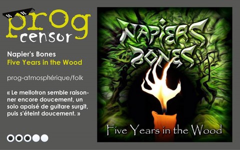 Napier's Bones - Five Years in the Wood