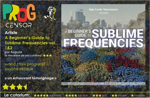Various Artists - A Beginner's Guide to Sublime Frequencies vol. 1 & 2